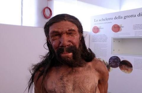 L'uomo primitivo di altamura ha un volto, ricostruito da uno scheletro di 180mila anni fa