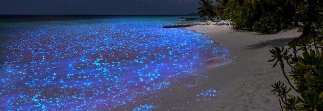 Maldive, la spiaggia magica che si trasforma in un cielo stellato