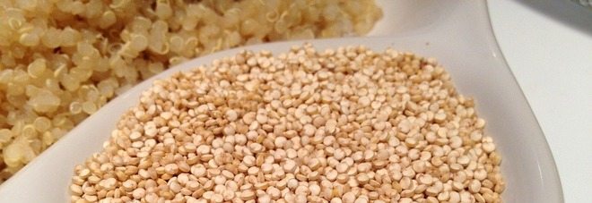 Quinoa, ottima per i ciliaci, combatte il colesterolo e fa bene alla digestione