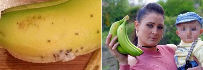Ragni velenosi nelle banane, mamma costretta a scappare con il figlio piccolo.