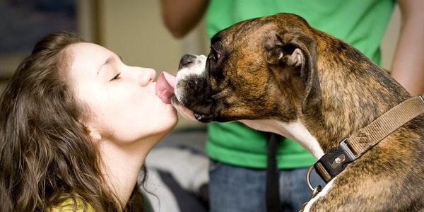 I baci dei cani sono pericolosi?  Cosa dicono gli esperti?