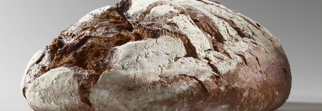 Mangiare pane provoca invecchiamento precoce, emerge da uno studio