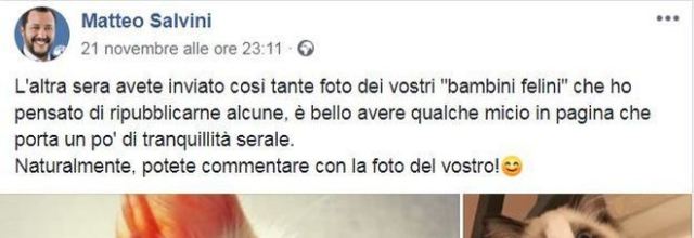 Gatto Isoardi e Salvini, il cuore animalista di Matteo.