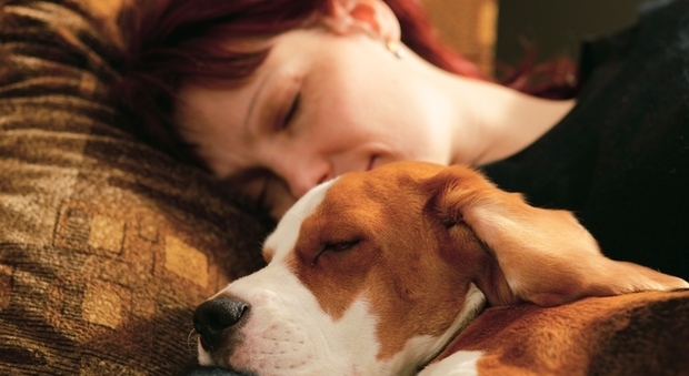 Le donne per dormire bene preferiscono il cane al partner.