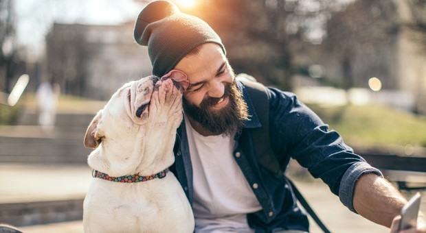 Nella barba maschile ci sono più microbi del pelo del cane