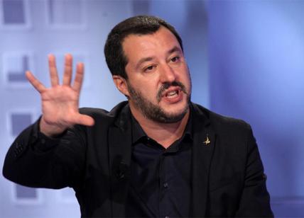 Matteo Salvini vorrebbe chiudere i canapa shop, campagna elettorale, Guardate!