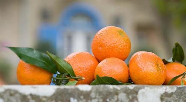 I mandarini fanno ingrassare? Ecco cosa succede davvero al corpo se li mangiamo tutti i giorni-LEGGO ➥
