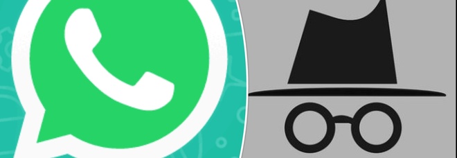 WhatsApp, come usare l'app in incognito e non farsi vedere dai propri contatti-LEGGO➥