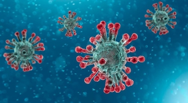 Coronavirus, Covid19 resiste nove giorni su superfici, ma ecco cosa dovete sapere, vietati allarmismi-LEGGO➟