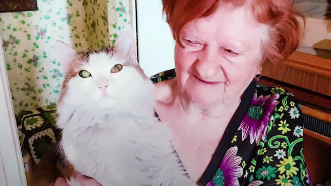 Anziana rischia di morire, il gatto la morde al collo e le salva la vita-LEGGO➟