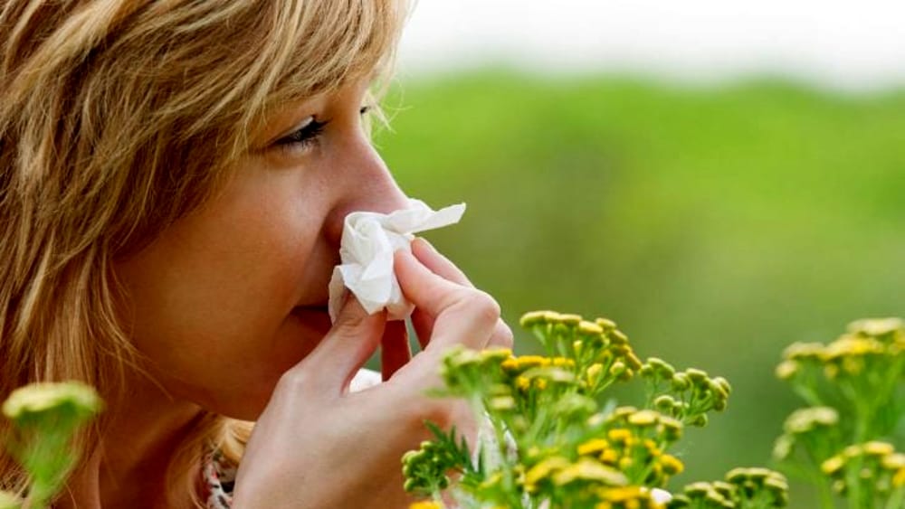 Coronavirus o allergia? Ecco come distinguere i sintomi, occhio ai rischi derivanti dall'asma-LEGGO➟